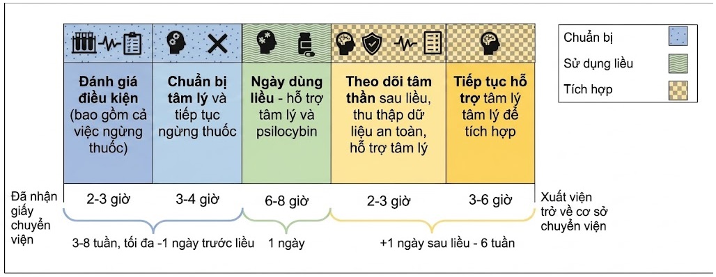 Điều trị Trầm cảm Kháng trị – Dược lý Thần kinh và Kích thích Thần kinh. CHƯƠNG 13. PSILOCYBIN VÀ CÁC THUỐC ẢO GIÁC KHÁC ĐANG ĐƯỢC PHÁT TRIỂN ĐỂ ĐIỀU TRỊ TRẦM CẢM KHÁNG TRỊ