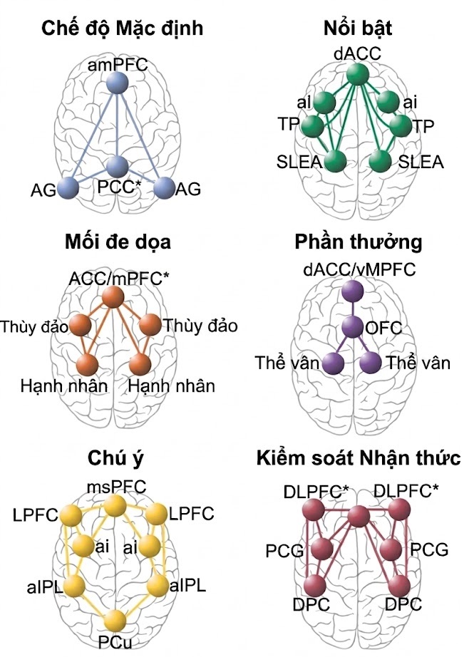 Điều trị Trầm cảm Kháng trị – Dược lý Thần kinh và Kích thích Thần kinh. CHƯƠNG 14. CÁC DẤU ẤN SINH HỌC HÌNH ẢNH THẦN KINH TRONG LỰA CHỌN ĐIỀU TRỊ CHO TRẦM CẢM KHÁNG TRỊ
