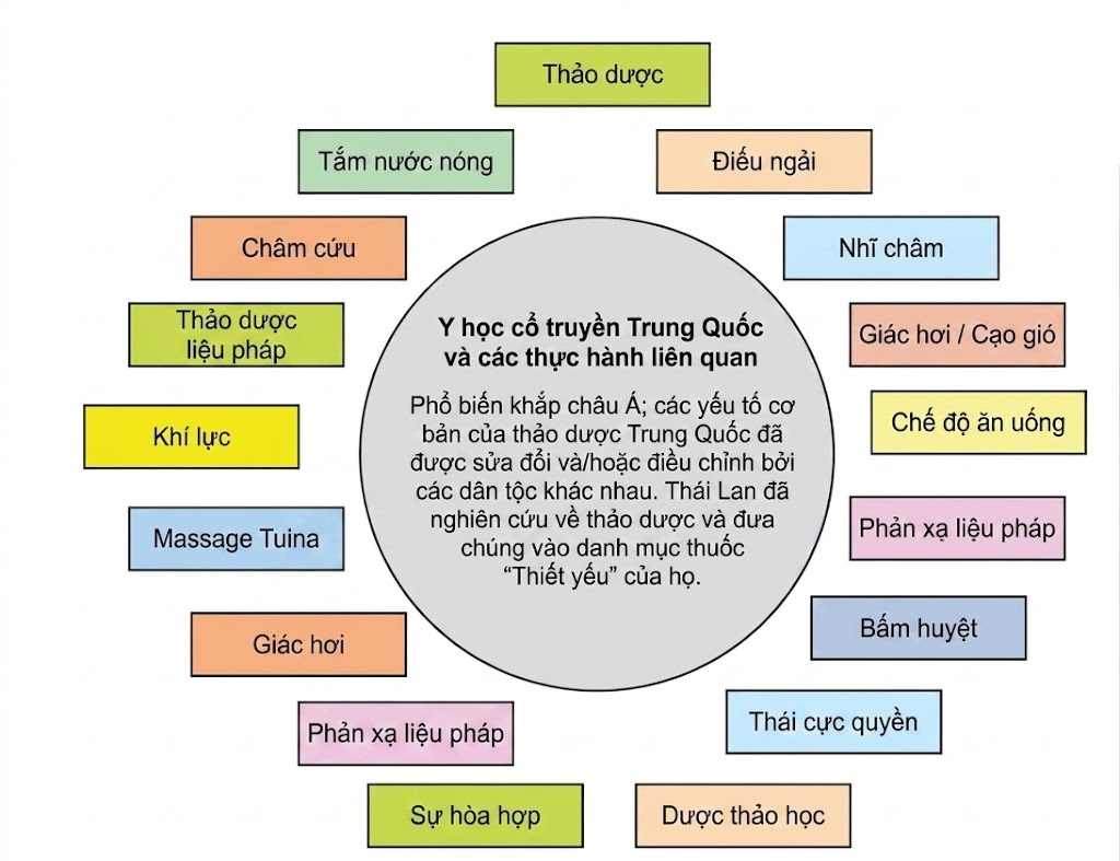 Hội chứng Buồng trứng Đa nang. CHƯƠNG 25. PHÂN TÍCH TÌNH HÌNH HỘI CHỨNG BUỒNG TRỨNG ĐA NANG TẠI TRUNG VÀ ĐÔNG Á