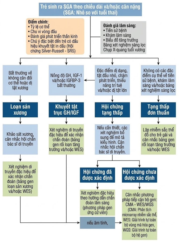 Nội tiết học Bà mẹ – Thai Nhi và Sơ Sinh (Ấn bản thứ 2, 2026). CHƯƠNG 52. TRẺ NHỎ HƠN SO VỚI TUỔI THAI: QUẢN LÝ VÀ CÁC KẾT CỤC DÀI HẠN VỀ TĂNG TRƯỞNG VÀ CHUYỂN HOÁ