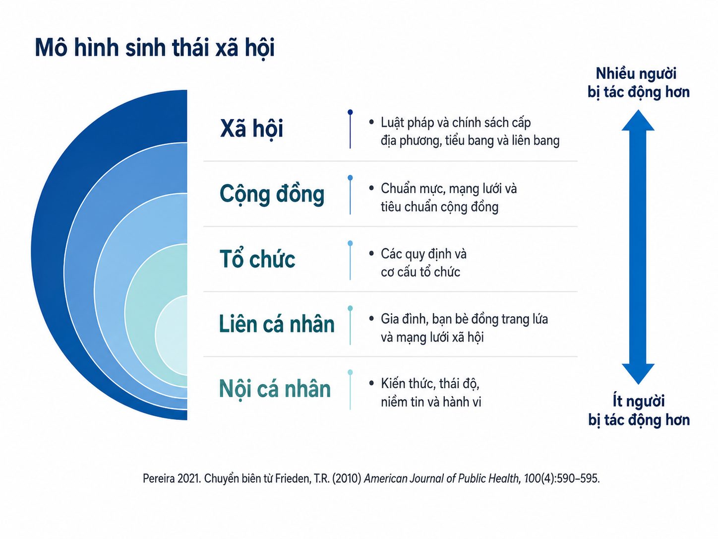 Hỏi & Đáp Nội tiết học lâm sàng, Ấn bản thứ 8 (2026). CHƯƠNG 69. SỰ BẤT BÌNH ĐẲNG TRONG CHĂM SÓC SỨC KHOẺ NỘI TIẾT HỌC