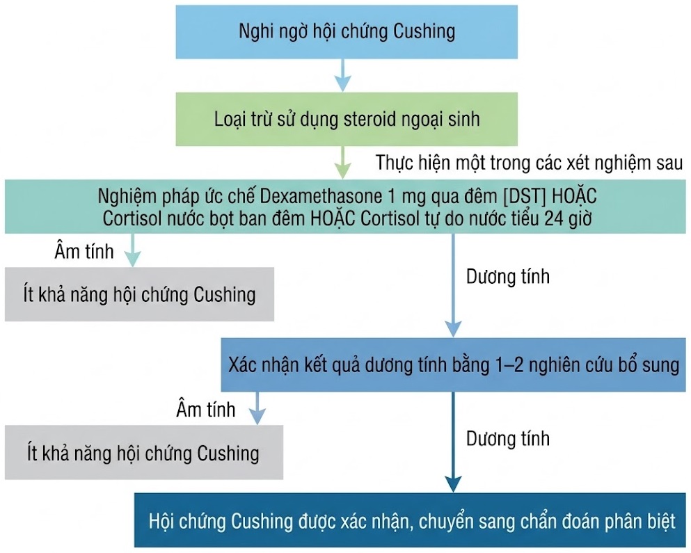 Hỏi & Đáp Nội tiết học lâm sàng, Ấn bản thứ 8 (2026). CHƯƠNG 28. HỘI CHỨNG CUSHING