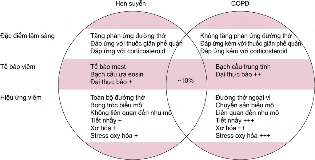 Sinh lý học Hô hấp ứng dụng của Nunn & Lumb, ấn bản thứ 9. Chương 28. Bệnh lý Đường thở Sinh lý học Hô hấp ứng dụng của Nunn & Lumb, ấn bản thứ 9. Chương 28. Bệnh lý Đường thở