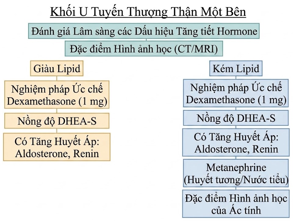 Hỏi & Đáp Nội tiết học lâm sàng, Ấn bản thứ 8 (2026). CHƯƠNG 35. U TUYẾN THƯỢNG THẬN PHÁT HIỆN TÌNH CỜ