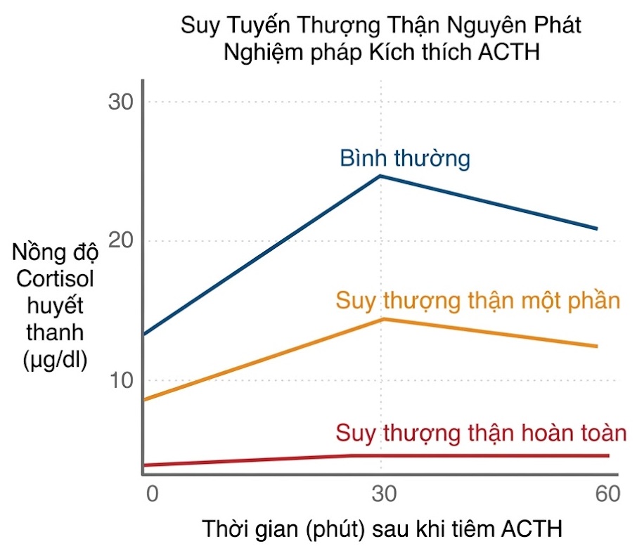 Hỏi & Đáp Nội tiết học lâm sàng, Ấn bản thứ 8 (2026). CHƯƠNG 37. SUY TUYẾN THƯỢNG THẬN