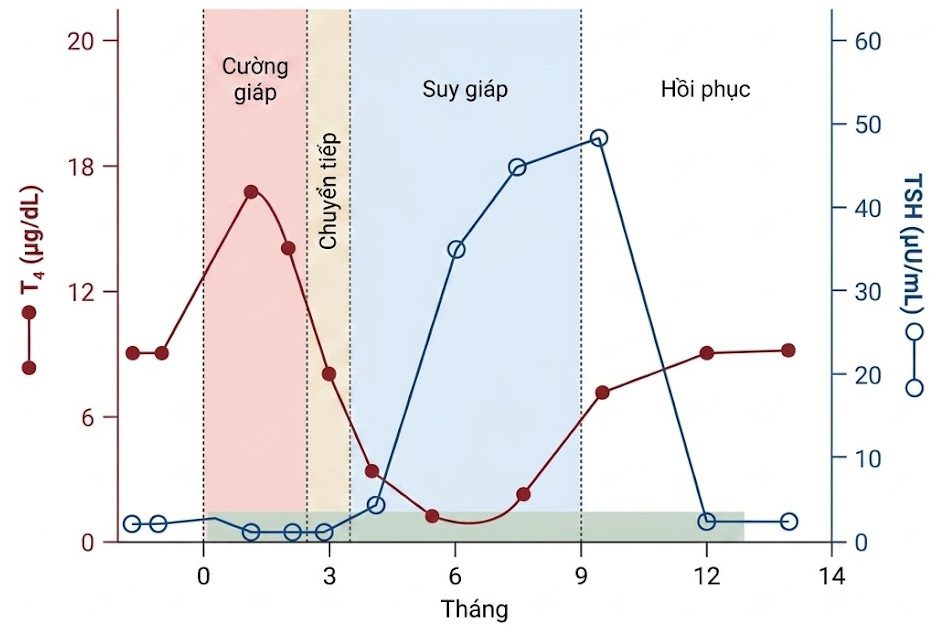 Hỏi & Đáp Nội tiết học lâm sàng, Ấn bản thứ 8 (2026). CHƯƠNG 42. VIÊM TUYẾN GIÁP