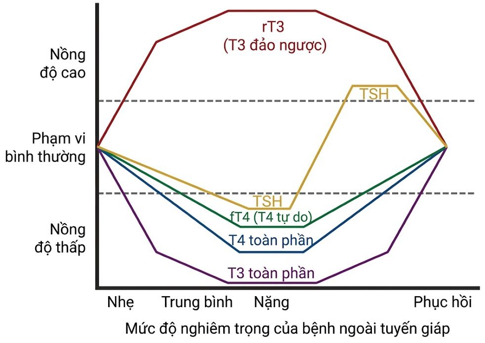 Hỏi & Đáp Nội tiết học lâm sàng, Ấn bản thứ 8 (2026). CHƯƠNG 46. Hội Chứng Bình Giáp Bệnh Lý