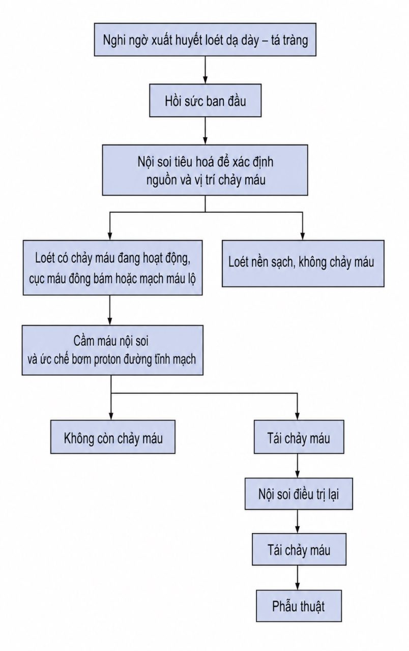 Cẩm nang Chăm sóc tích cực của OH, ấn bản thứ 9, 2026. CHƯƠNG 52. XUẤT HUYẾT TIÊU HOÁ CẤP TÍNH