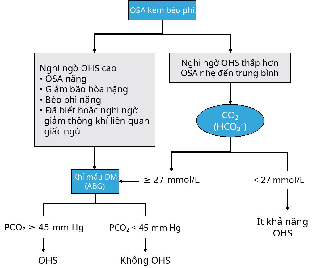 CÁC NGUYÊN LÝ CƠ BẢN CỦA Y HỌC GIẤC NGỦ, ẤN BẢN THỨ 2 (2026). CHƯƠNG 18. HỘI CHỨNG NGƯNG THỞ KHI NGỦ TẮC NGHẼN Ở NGƯỜI LỚN – CHẨN ĐOÁN, DỊCH TỄ HỌC, CÁC THỂ LÂM SÀNG